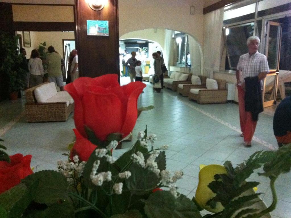 Hotel Eden San Domino Εξωτερικό φωτογραφία